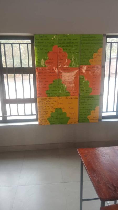 Innovative classroom display